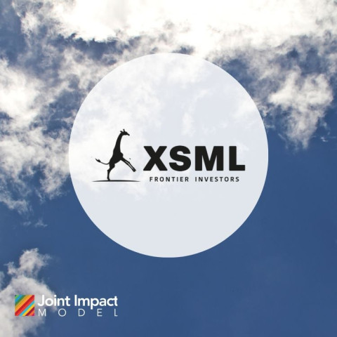 Joint Impact Model