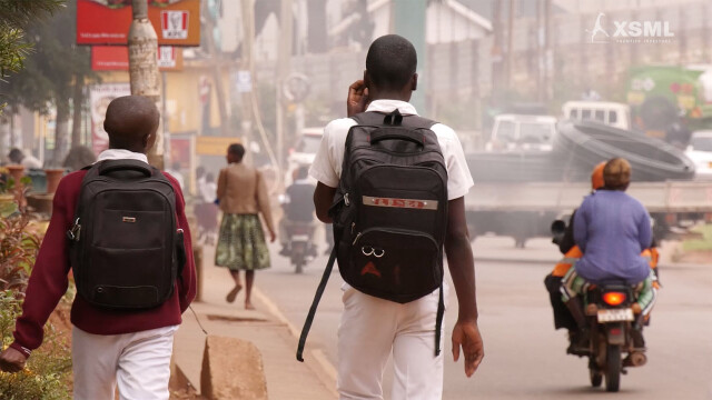 Video DT Bags
